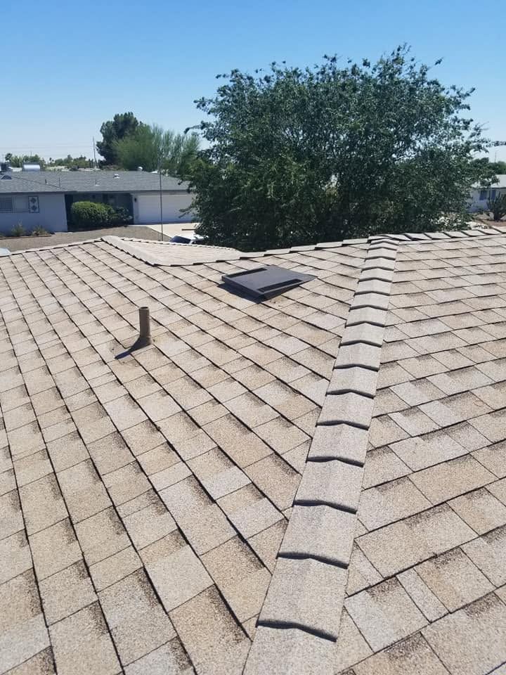 Rooftop with tan shingles, a vent pipe, and a skylight beside a large tree under a clear sky