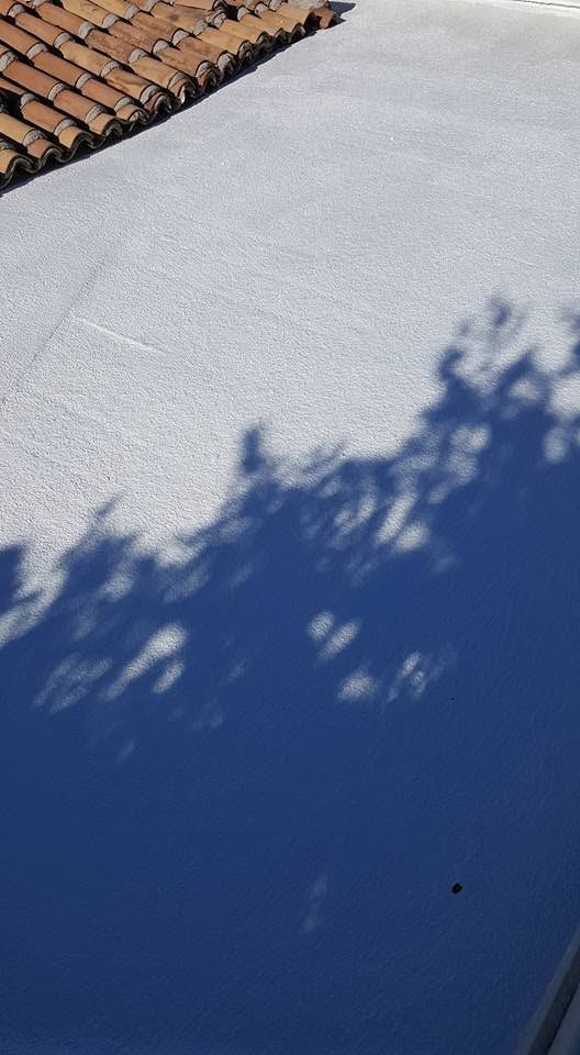 Blue wall with tree shadows beside a tiled roof edge