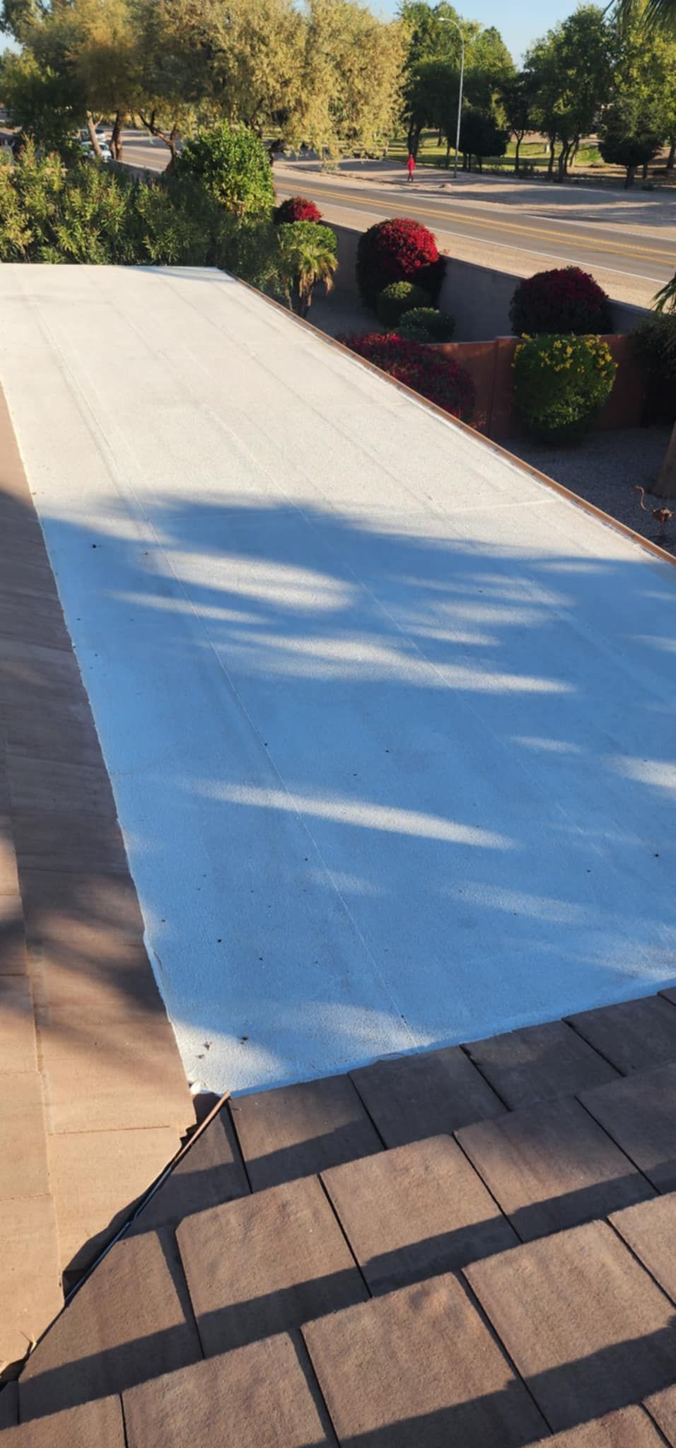 Sunlit white ramp beside a brick walkway, bordered by shrubs and trees in a landscaped outdoor area