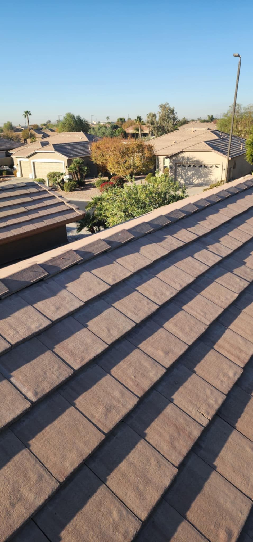Rooftop view over suburban houses, trees, and a clear blue sky at sunset.
