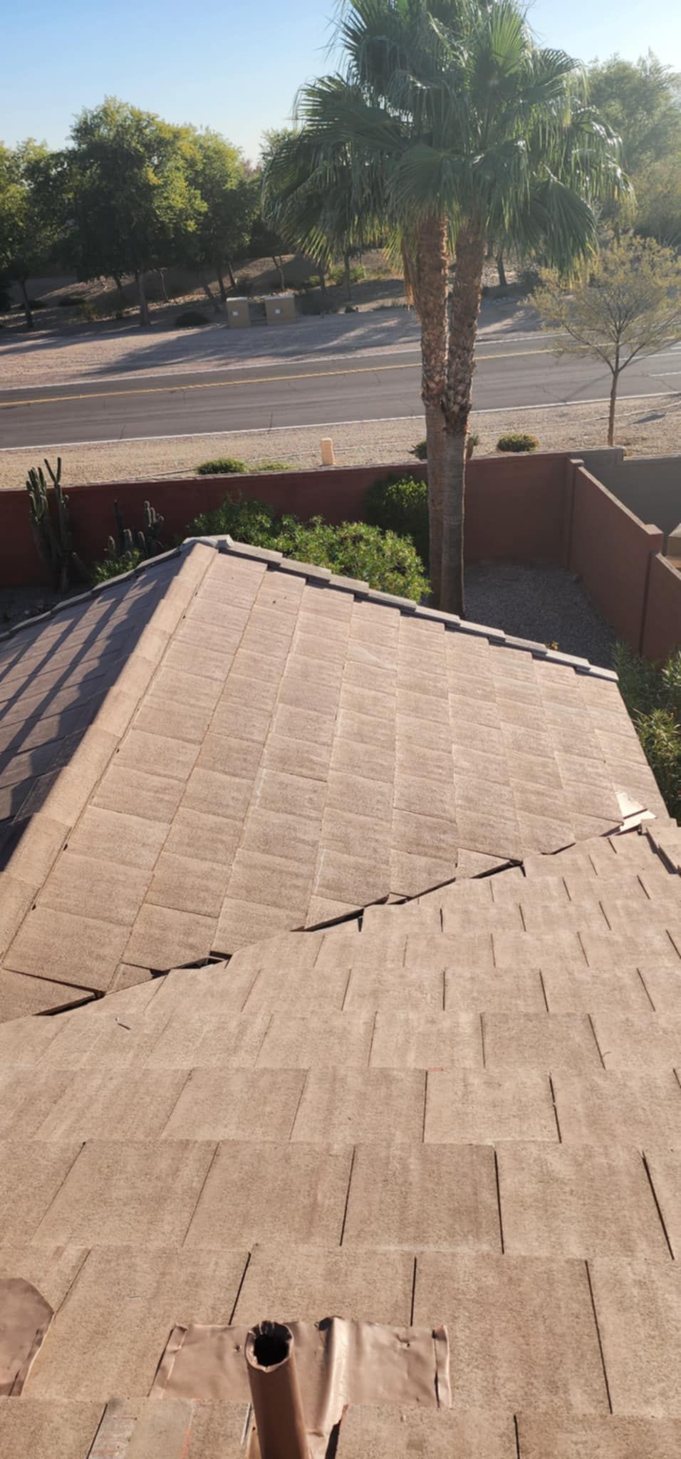 View from a rooftop over a backyard with a palm tree, red fence, and street beyond