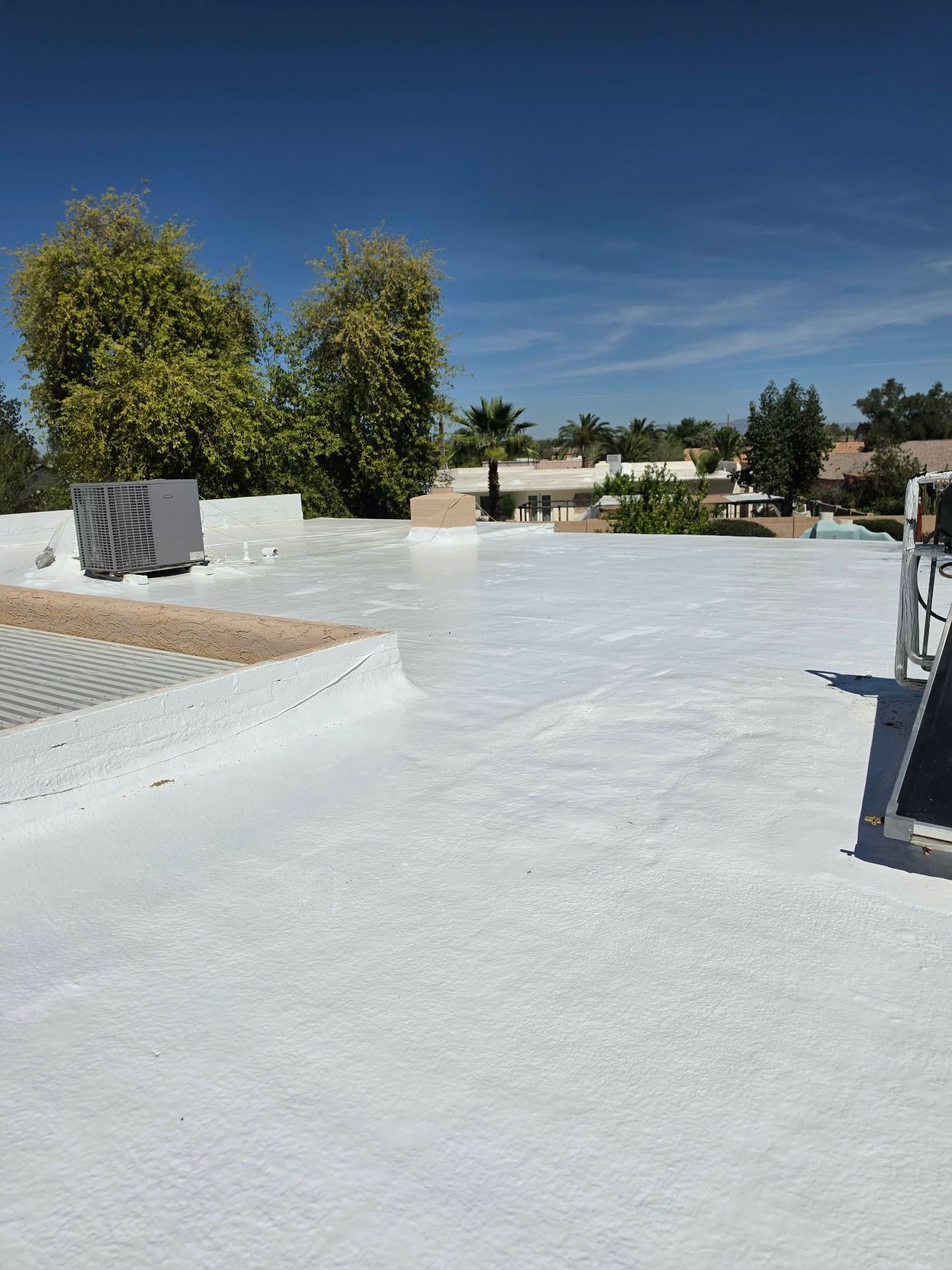 Bright rooftop with white reflective surface, desert trees, and blue sky under a sunny day