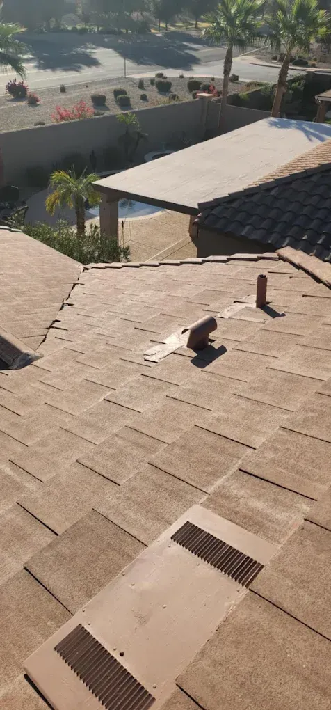 Rooftop shingles overlooking a pool and palm trees in a sunny residential area