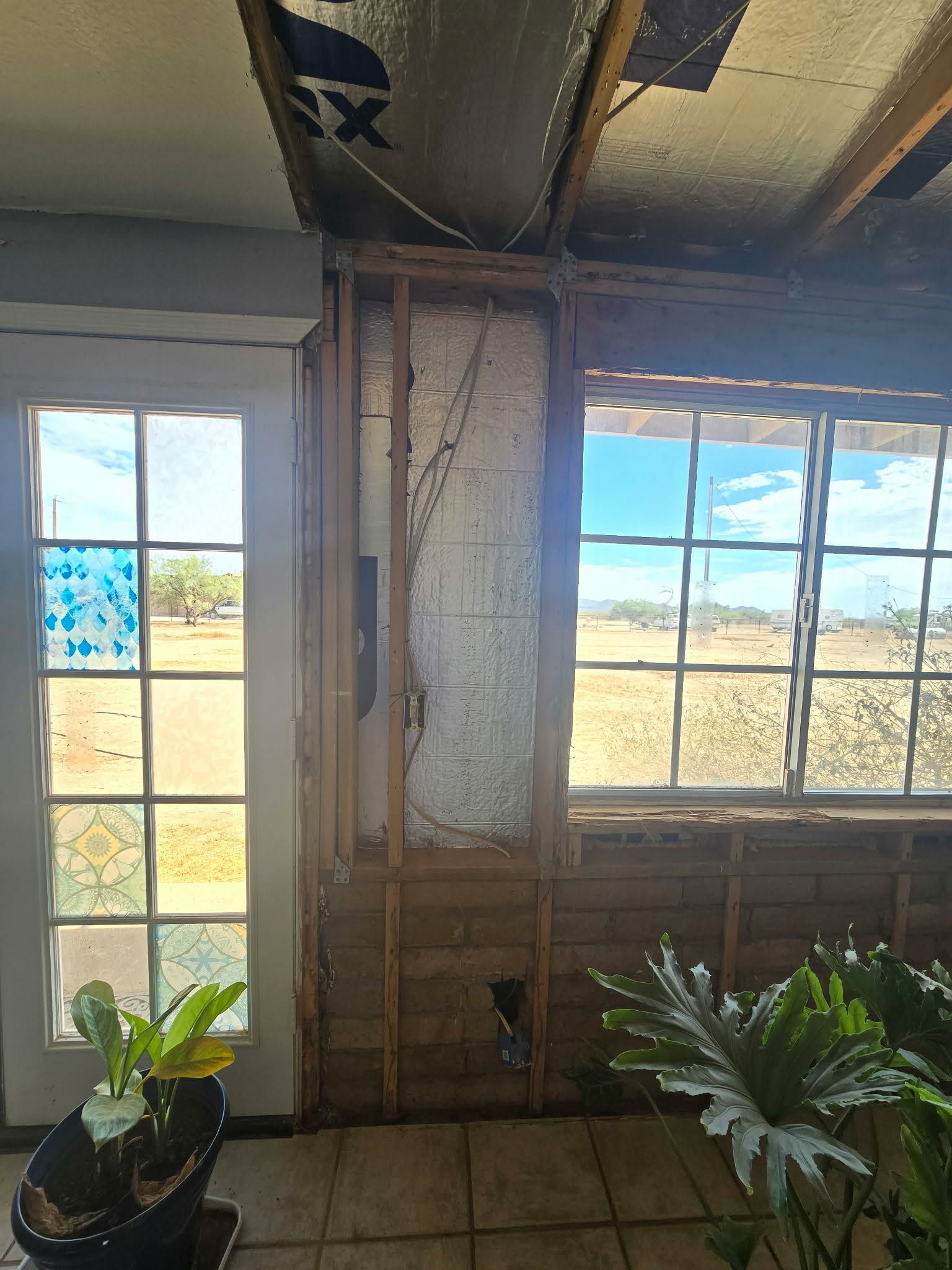 Small room with exposed ceiling insulation, two windows, and potted plants by the wall.