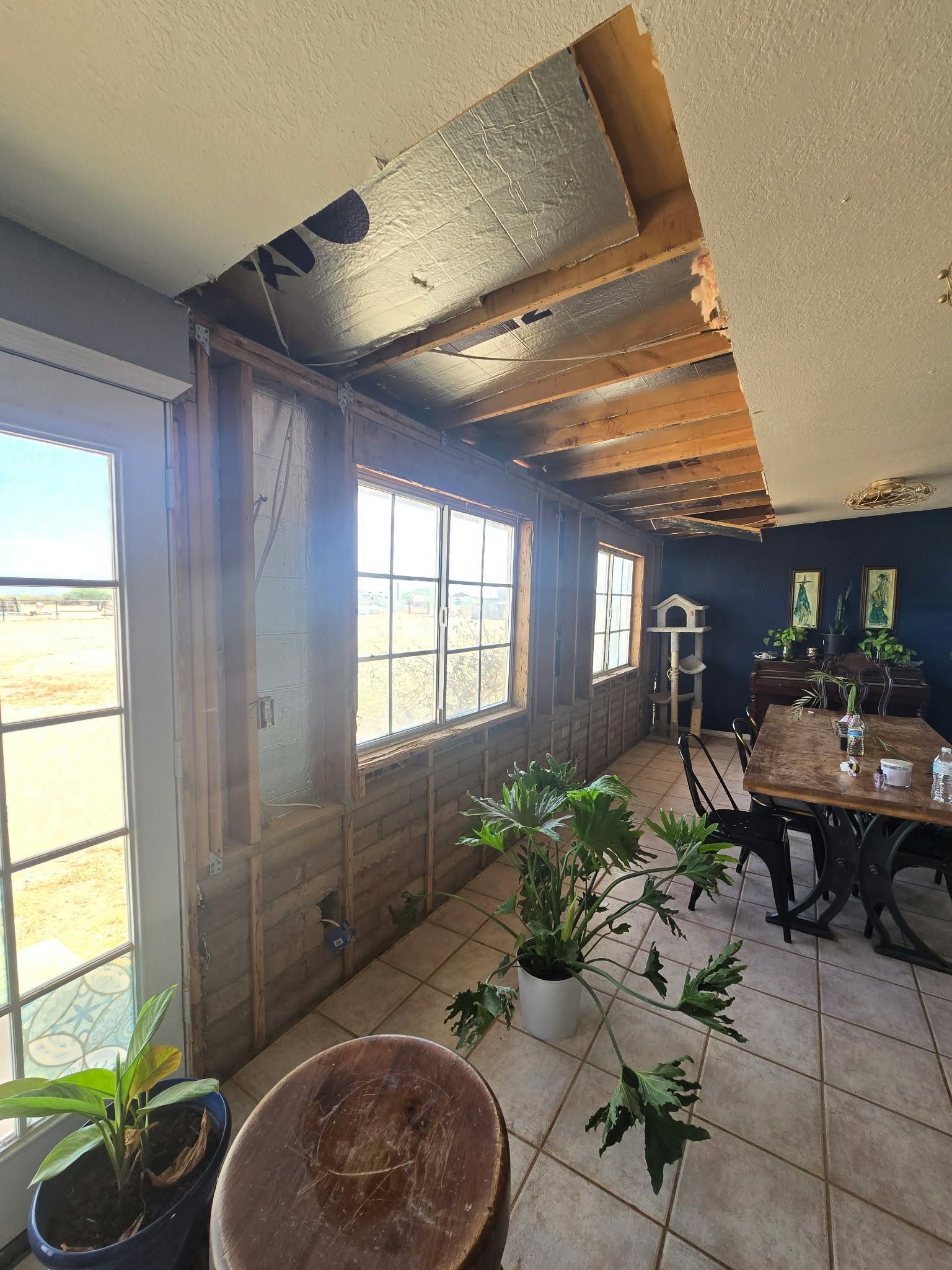 Sunlit room with windows, wooden ceiling beams, plants, and a dining table with chairs