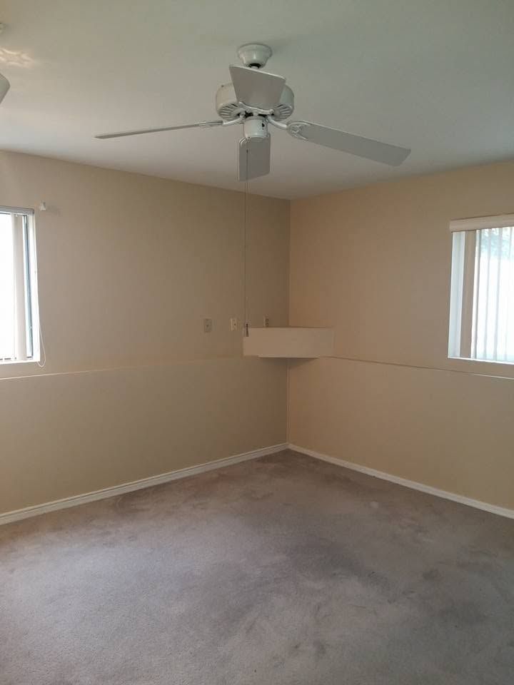 Empty beige room with carpet, two windows, and a ceiling fan.