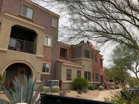 Apartment building with stucco balconies, desert landscaping, and a red ladder against the roofline