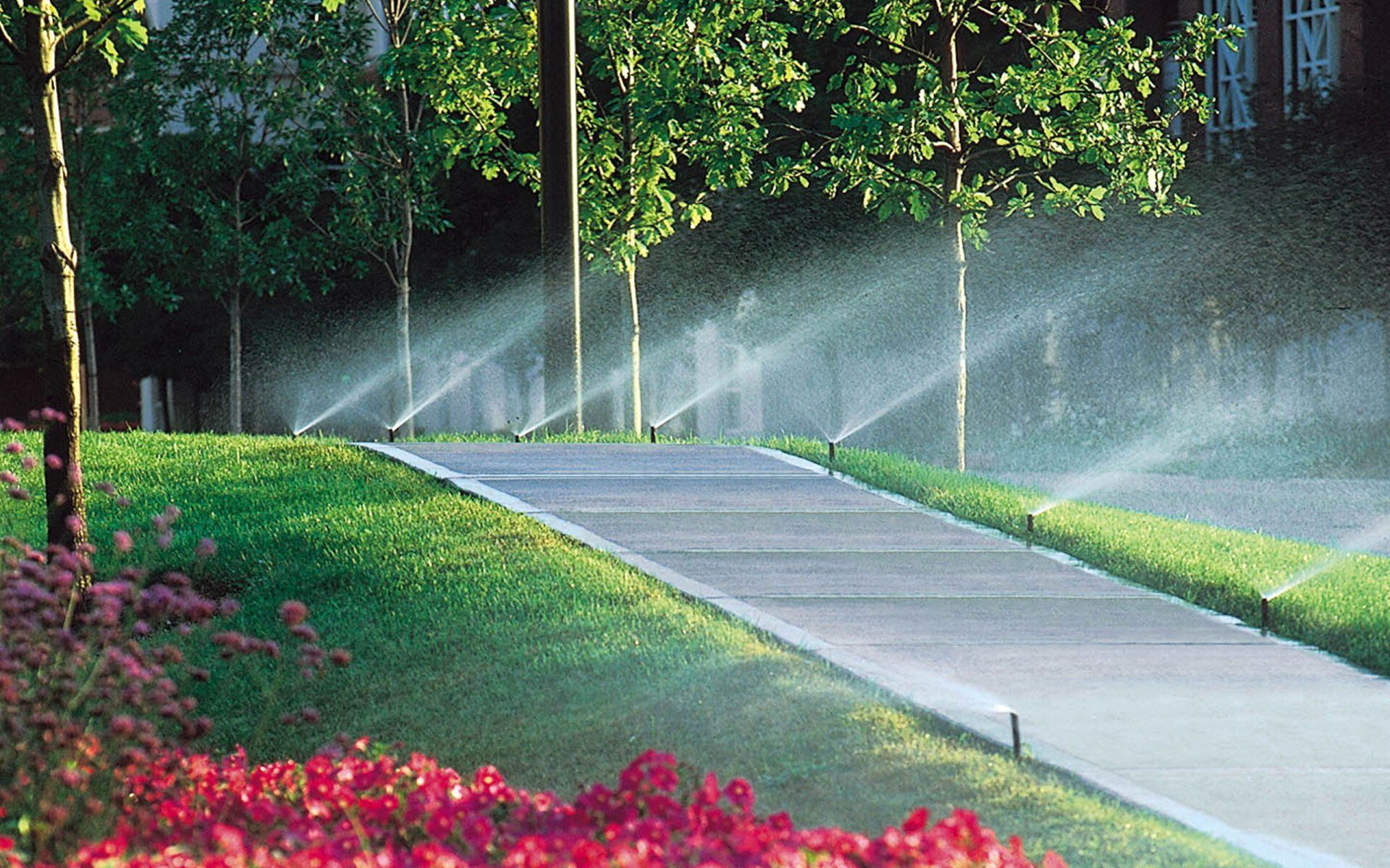 Irrigation services