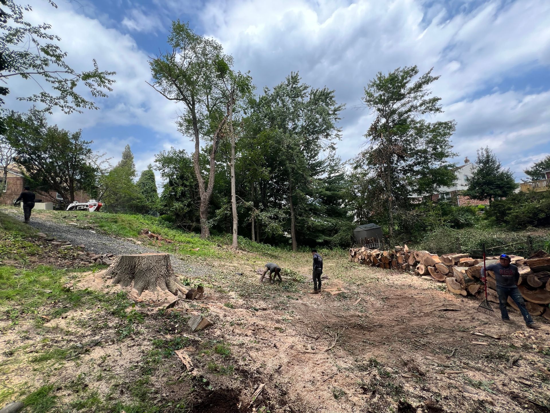Three people stand in a clearing with a tree stump, fallen logs, and woods under a blue sky with scattered clouds.