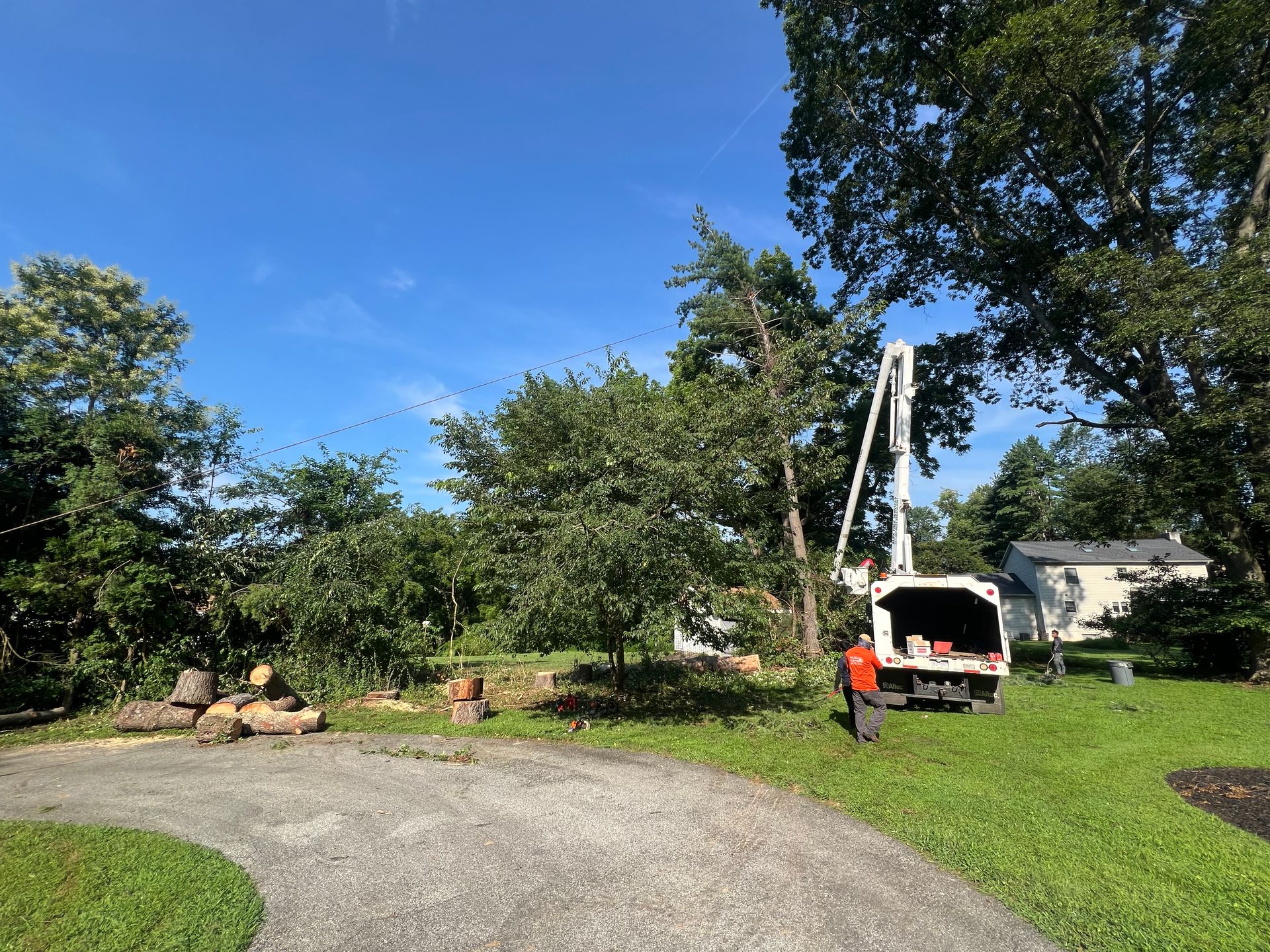 A worker stands near a bucket truck in a grassy yard, performing tree trimming services on a sunny day.