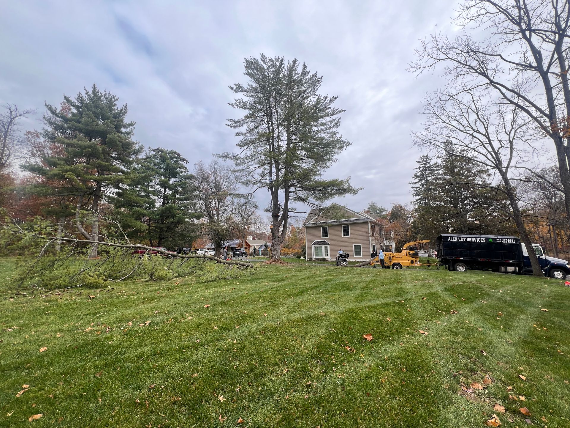 A crew uses a yellow wood chipper and a truck to clear fallen tree debris from a residential yard with a large house.