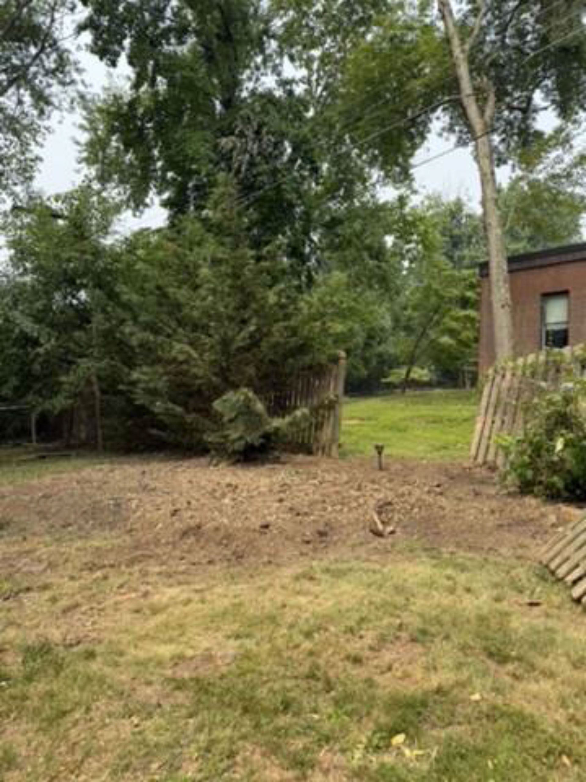 Backyard with patchy grass, large trees, and a small brick house at the right edge.
