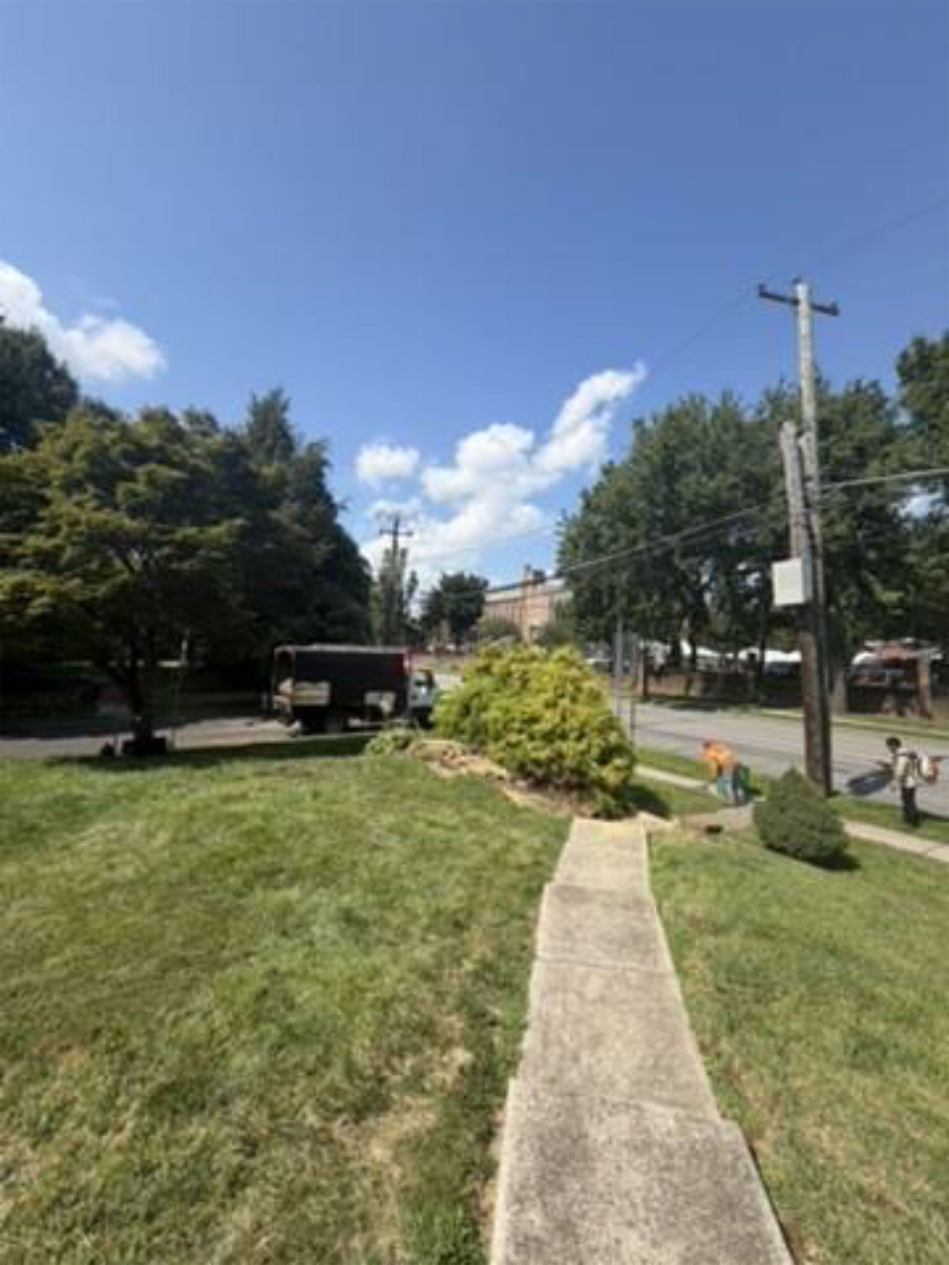 Sunny suburban sidewalk beside a grassy lawn, trees, and utility poles under a blue sky.