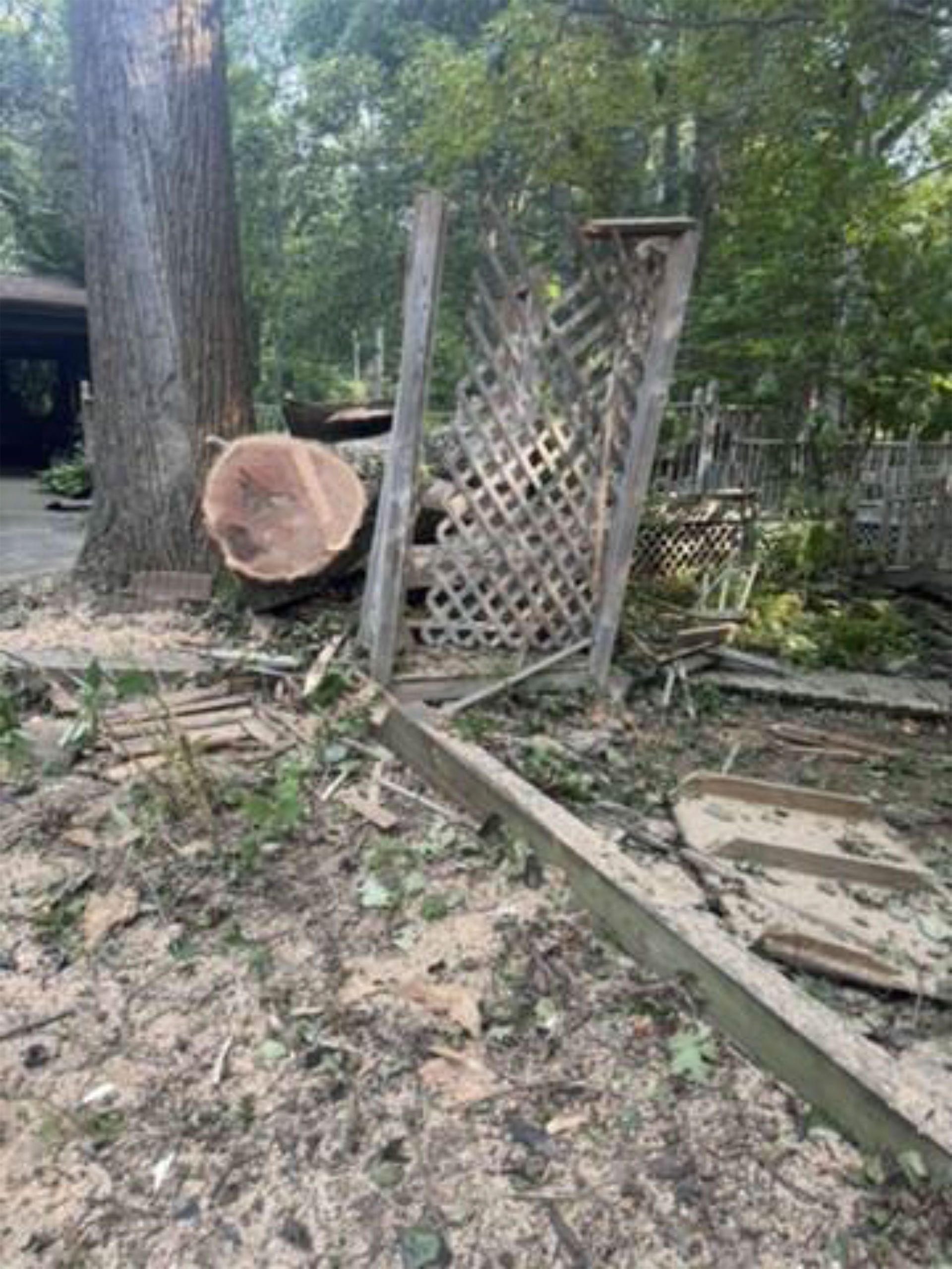Downed tree trunk beside a leaning lattice fence in a wooded yard.