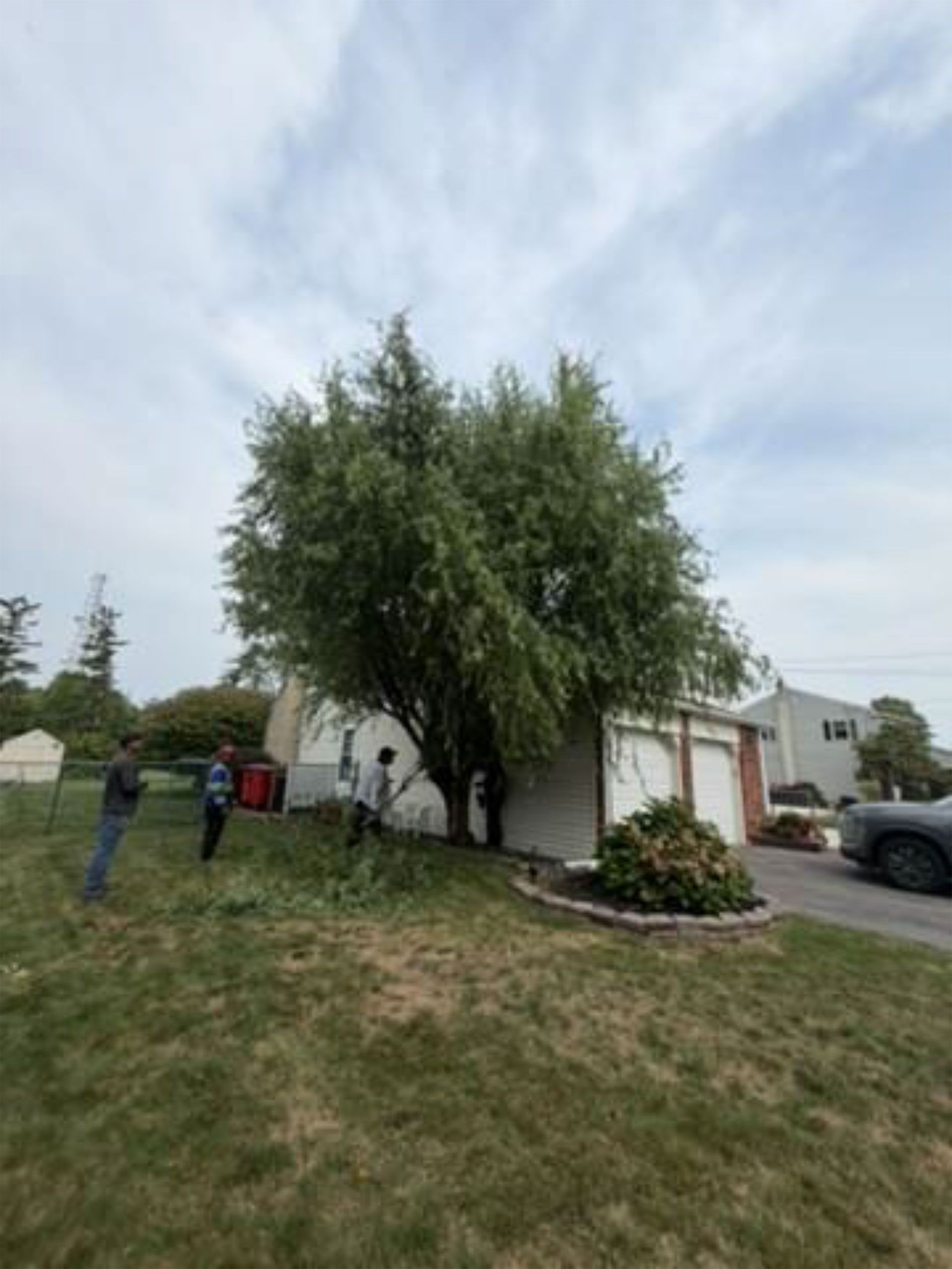 Front yard with a large tree, two people walking, and a house with a parked car nearby.