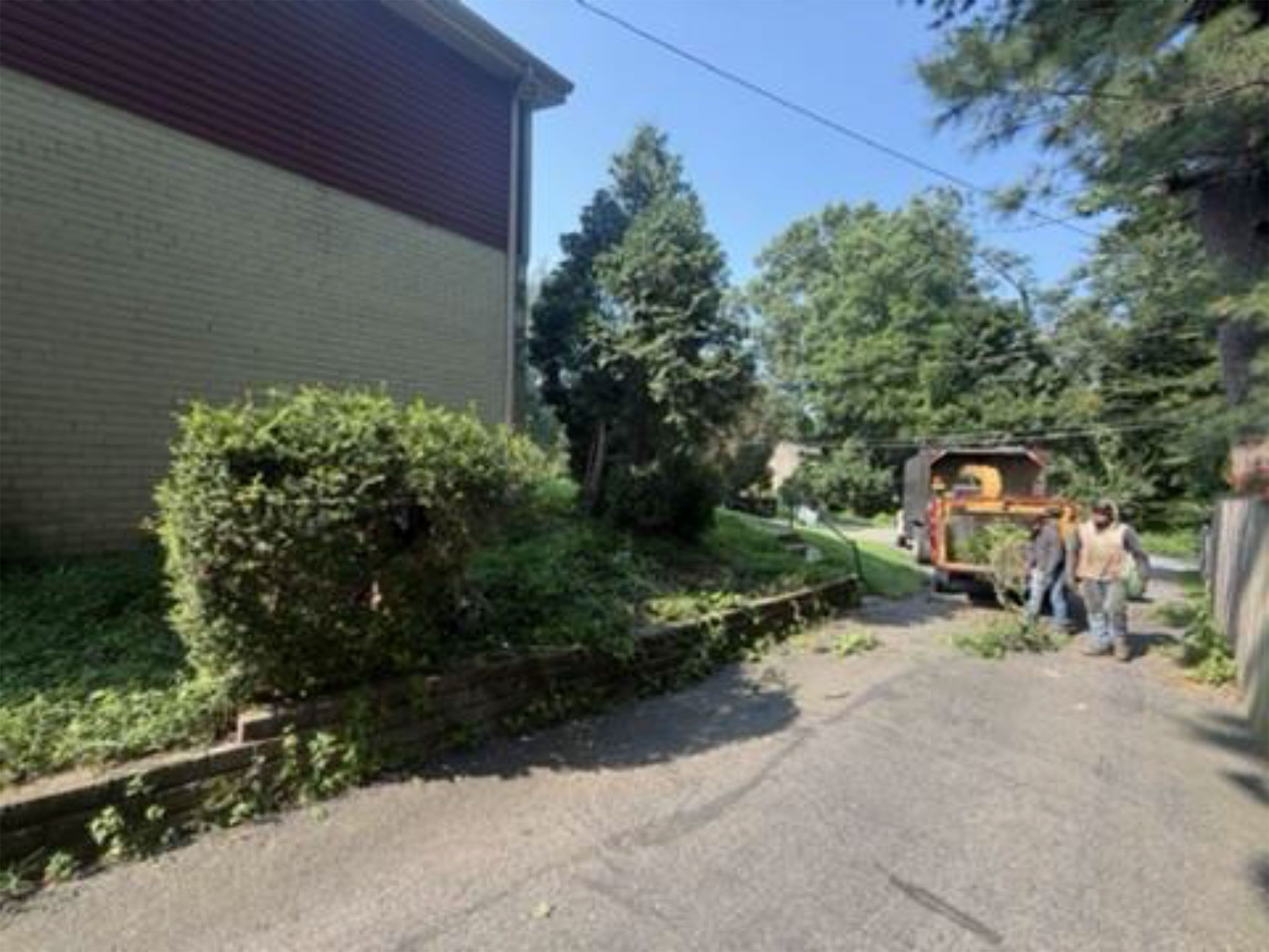 Two workers near a yellow truck on a tree-lined residential street beside a house and hedge.