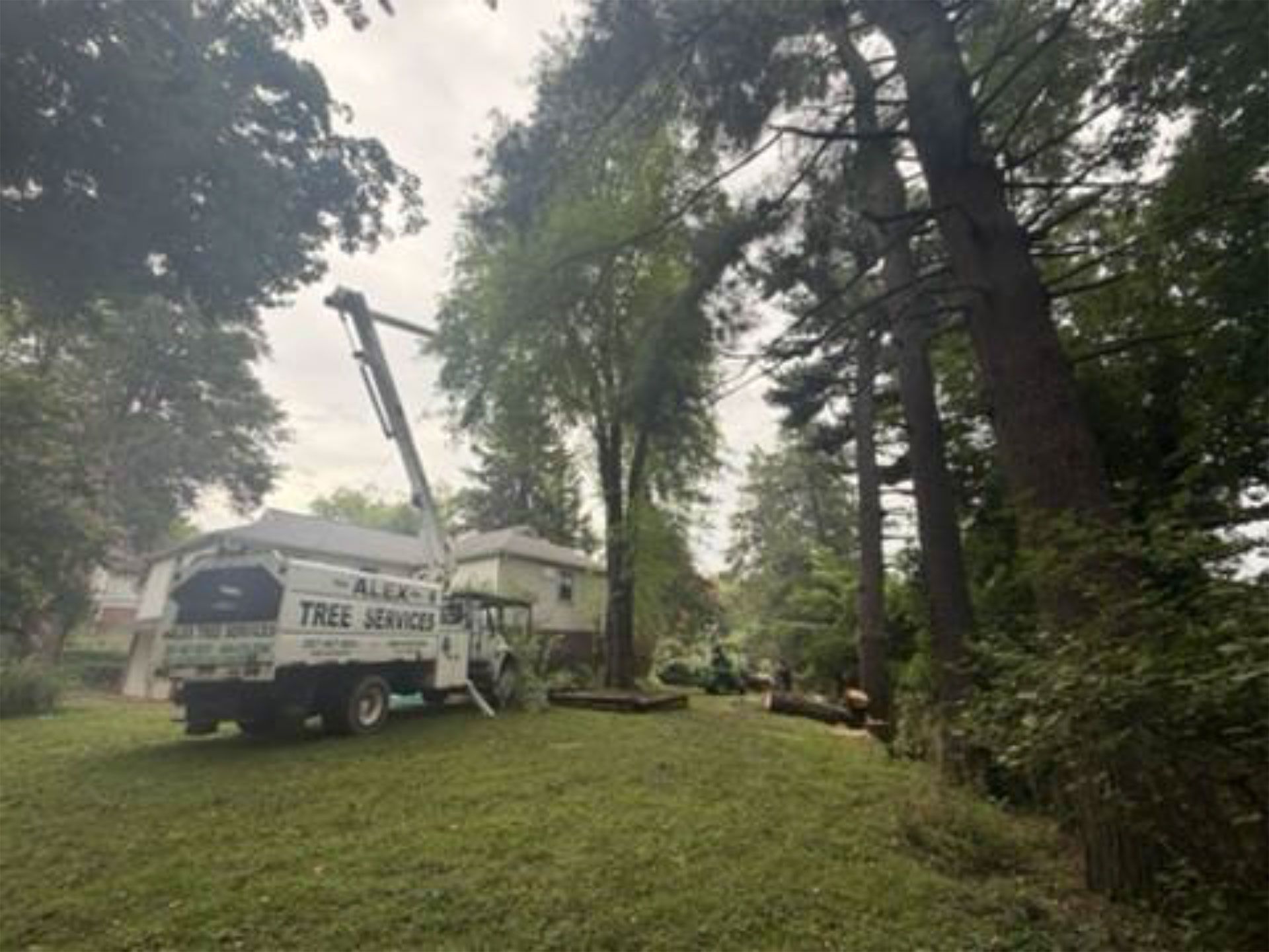Tree service truck with crane parked by a house in a wooded yard.