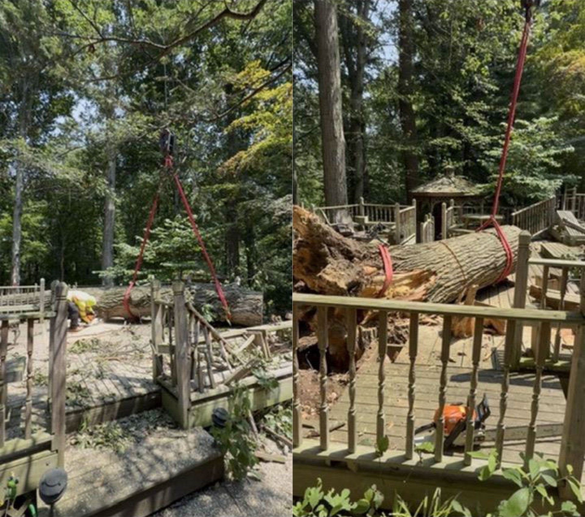 Person on a rope bridge crossing a fallen log obstacle course in a wooded park.
