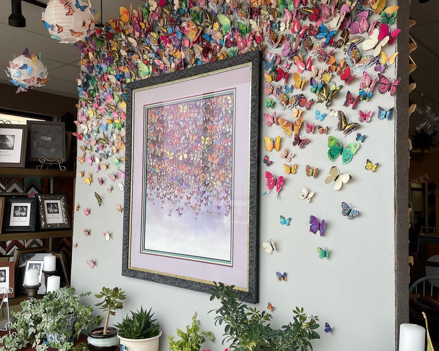 Wall decorated with colorful butterflies, framed art, and plants.