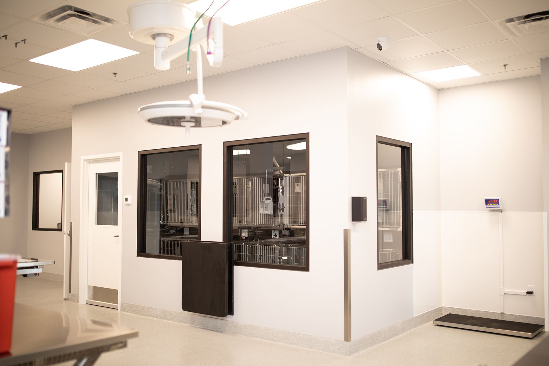 A room with a lot of windows and a ceiling light.