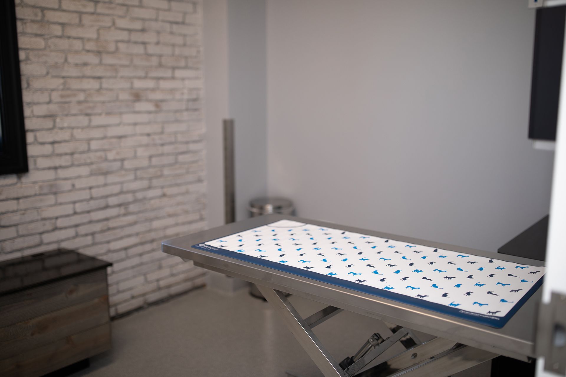 A Bowling Green Veterinary Emergency Clinic veterinarian with a table and brick wall.