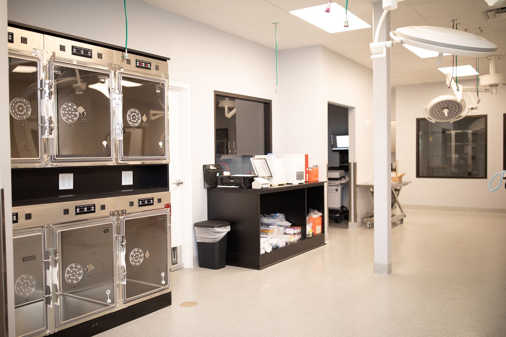 A large room in Bowling Green Veterinary Emergency Clinic has a lot of stainless steel appliances.