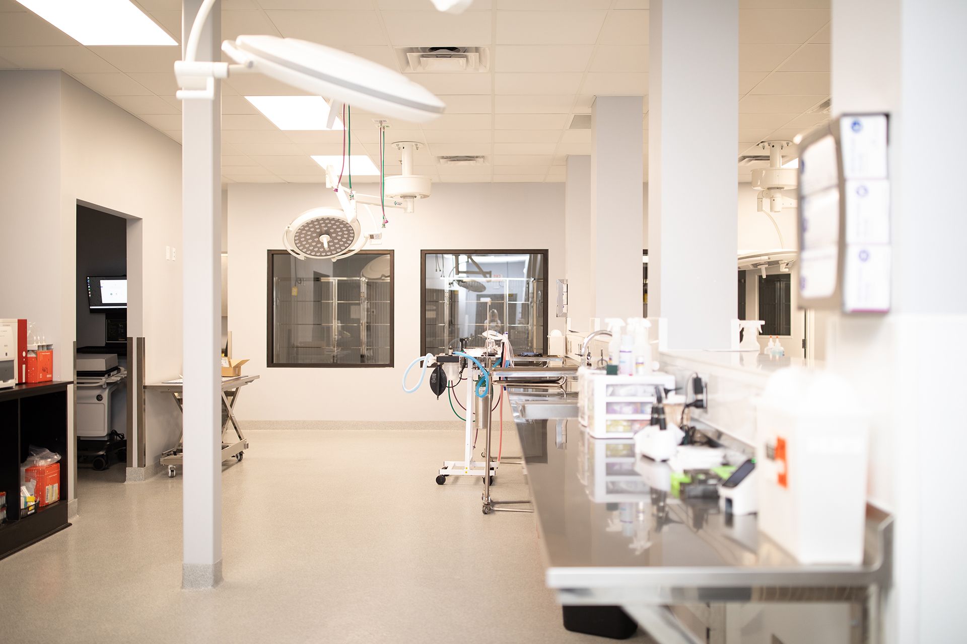 Large Bowling Green Veterinary Emergency Clinic room with a lot of equipment in it.
