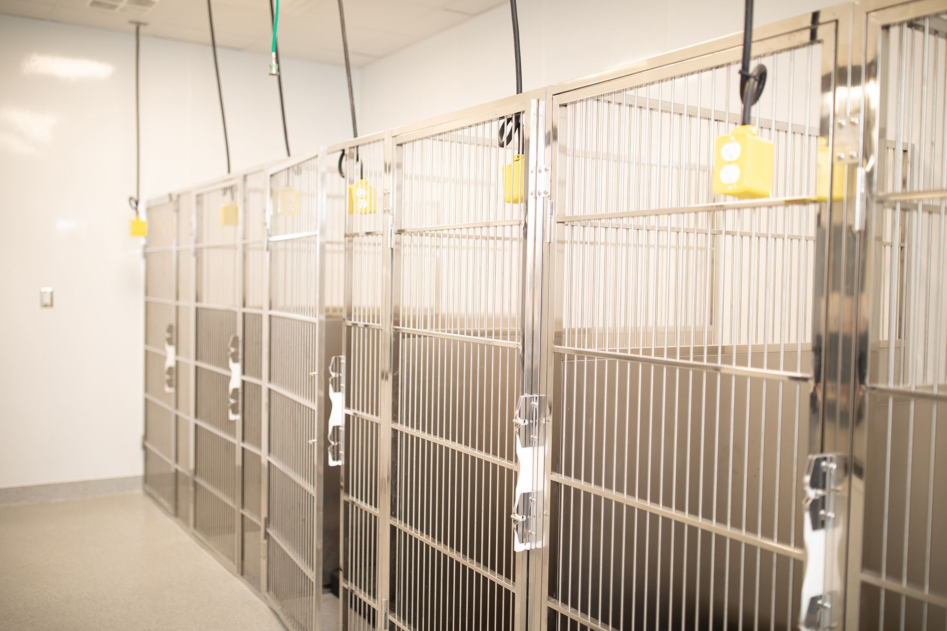A row of stainless steel cage kennels in Bowling Green Veterinary Emergency Clinic.