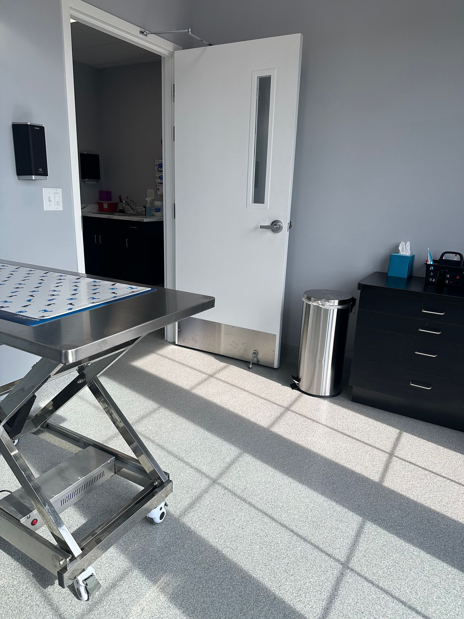 A stainless steel table is sitting in a room next to a door at Bowling Green Veterinary Emergency Clinic.