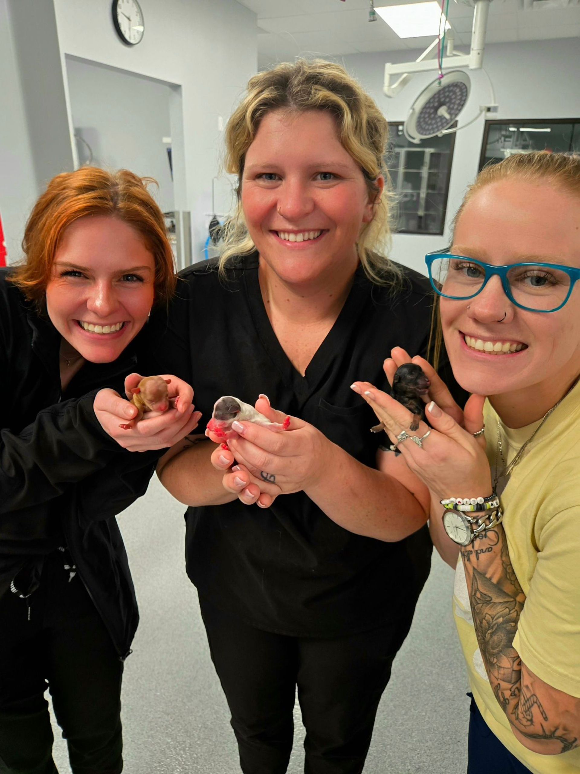 Professionals at Bowling Green Veterinary Emergency Clinic