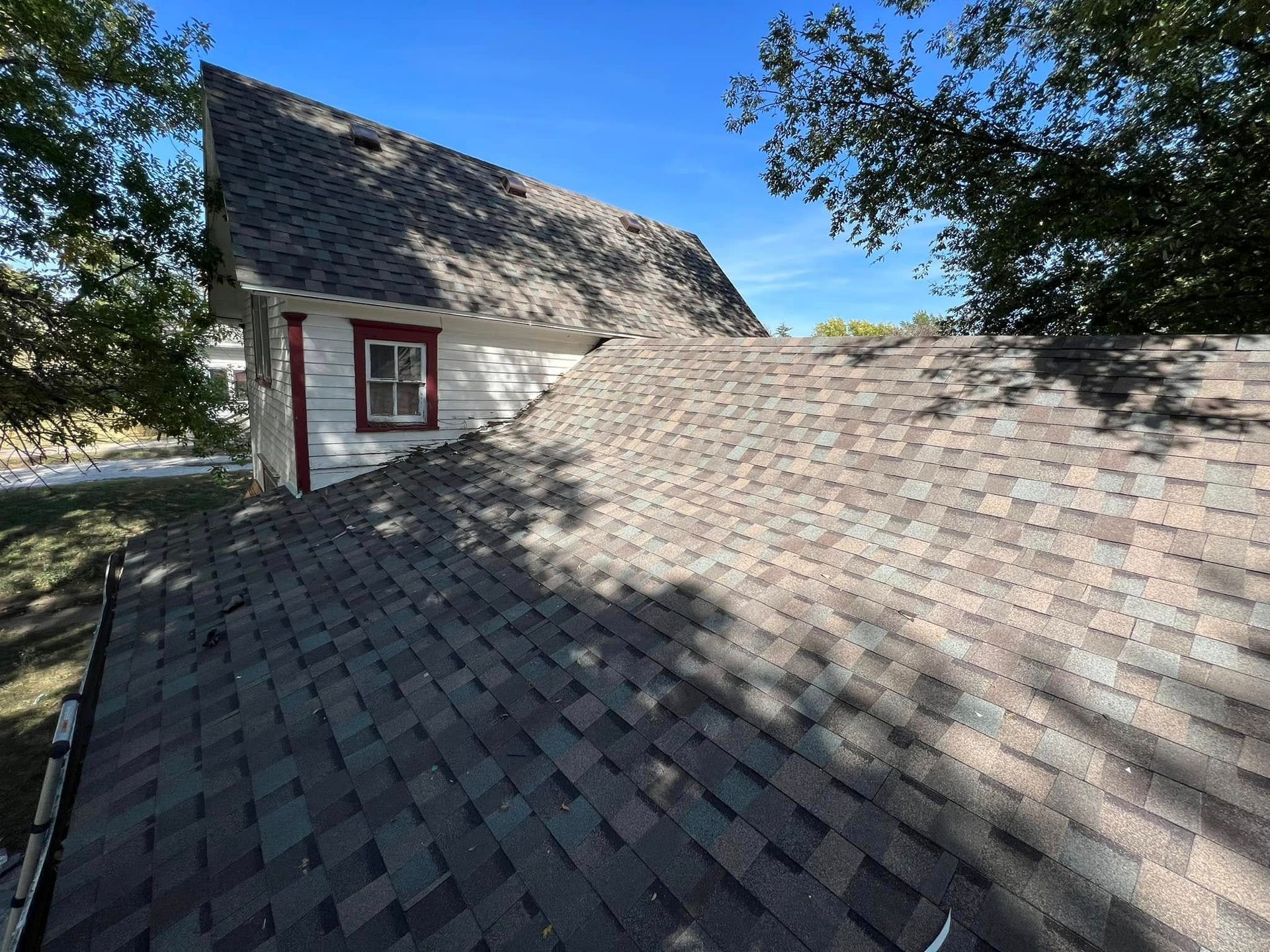 Shingled roof with white dormer window and surrounding trees under a blue sky