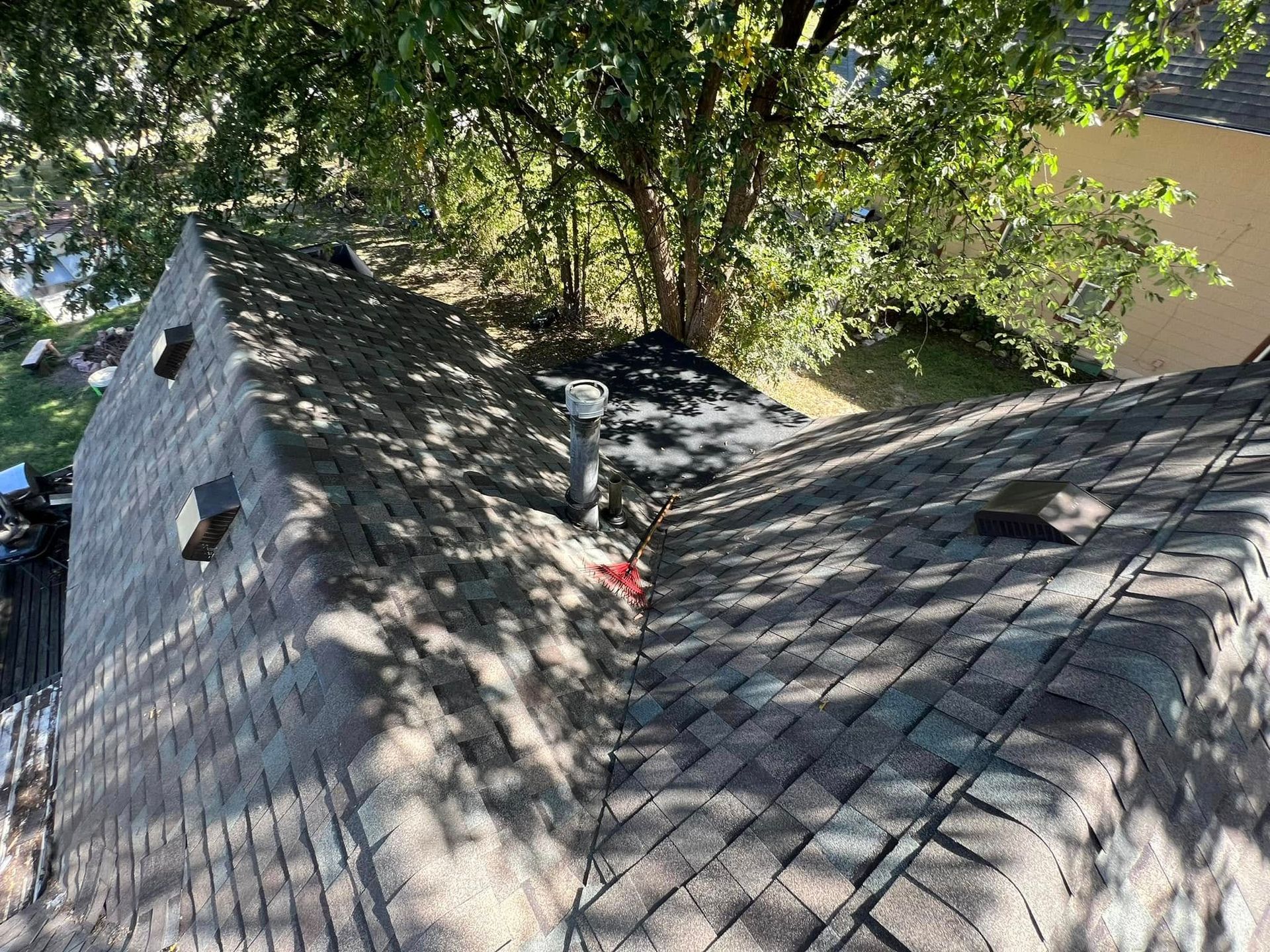 Shingled roof with a steep vented ridge under trees, dappled sunlight and a small red object near the center