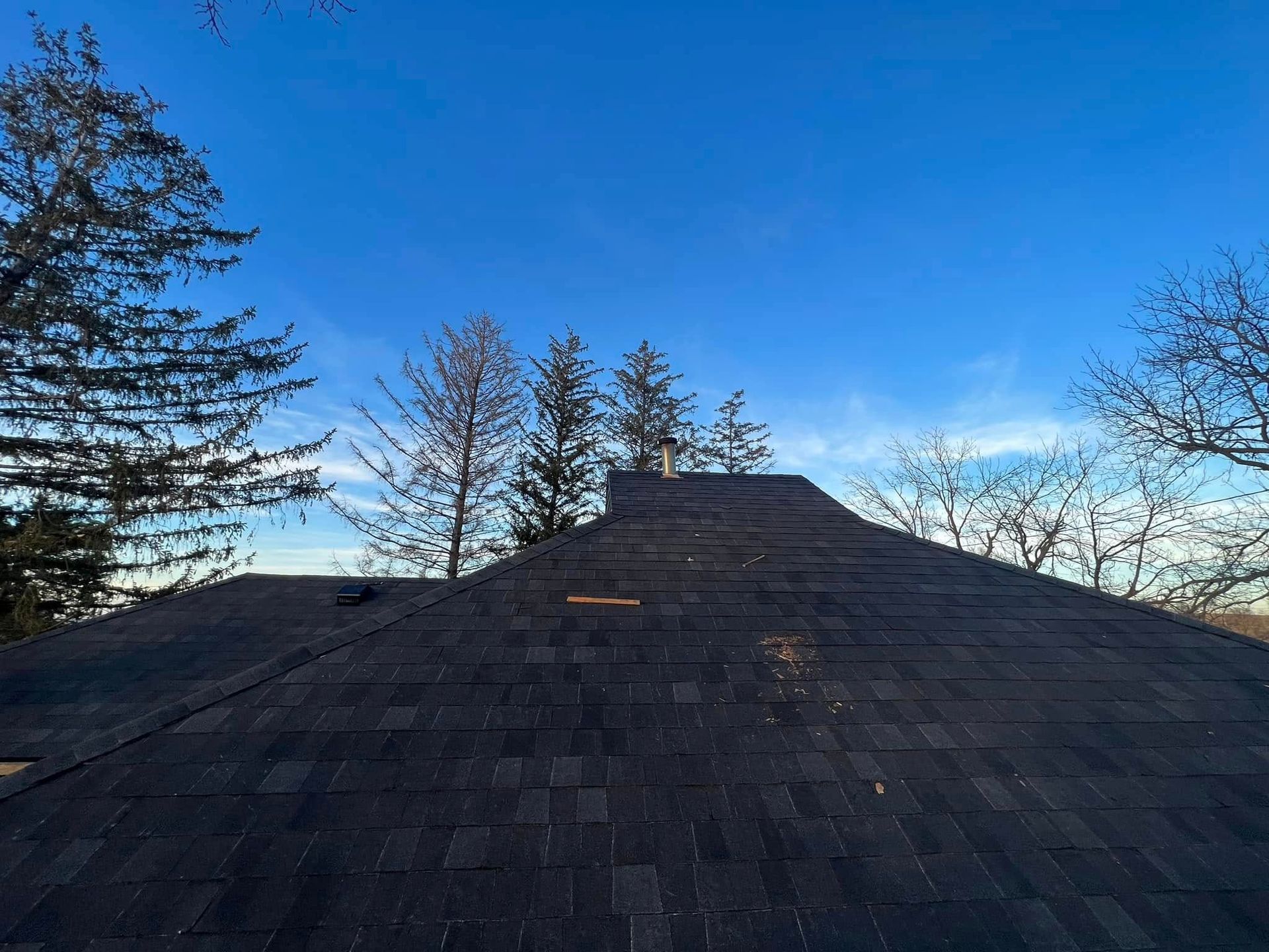 Dark shingled roof under a clear blue sky with bare trees in the background