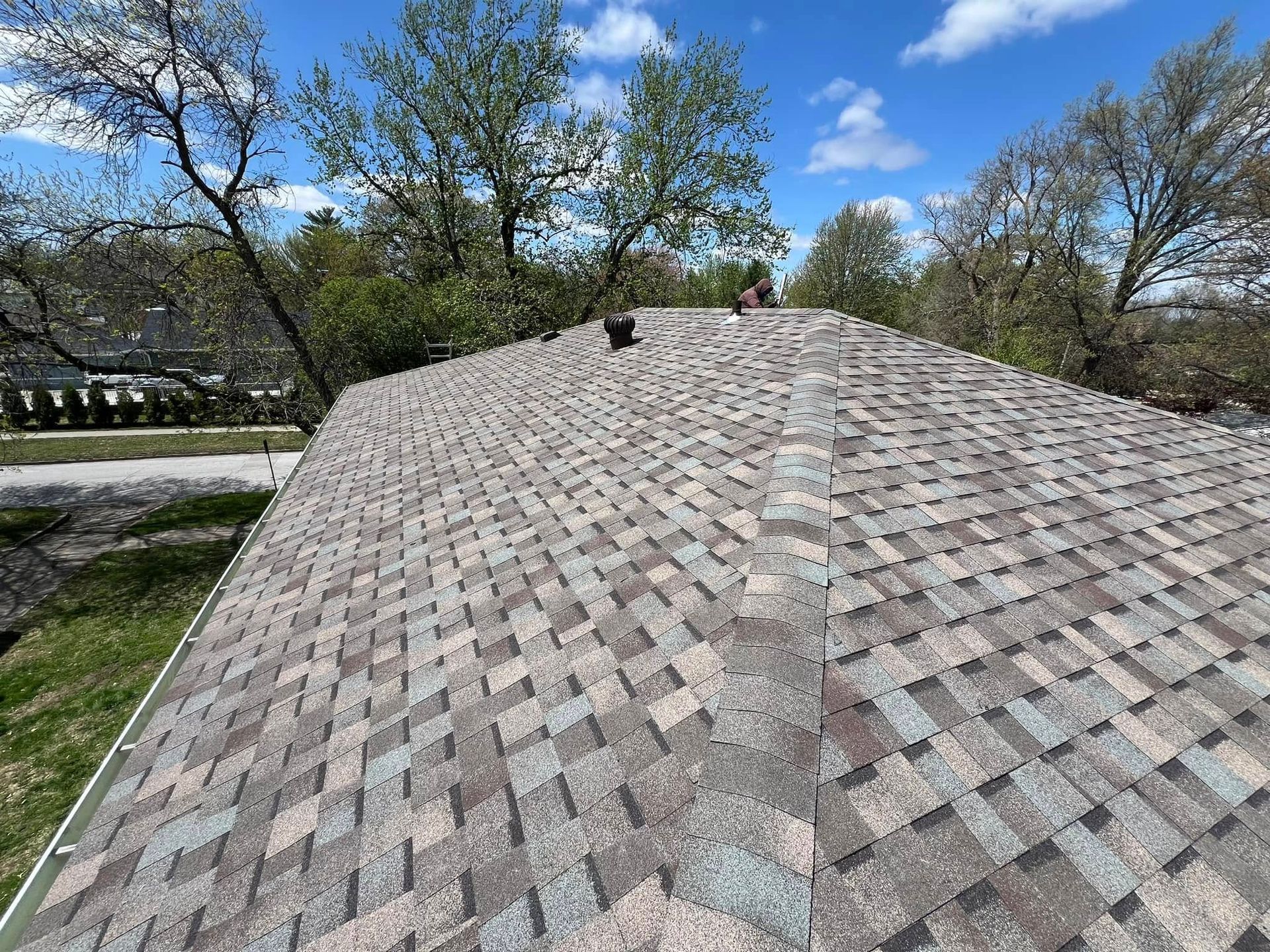 Close-up of a shingled roof with trees and a blue sky in the background