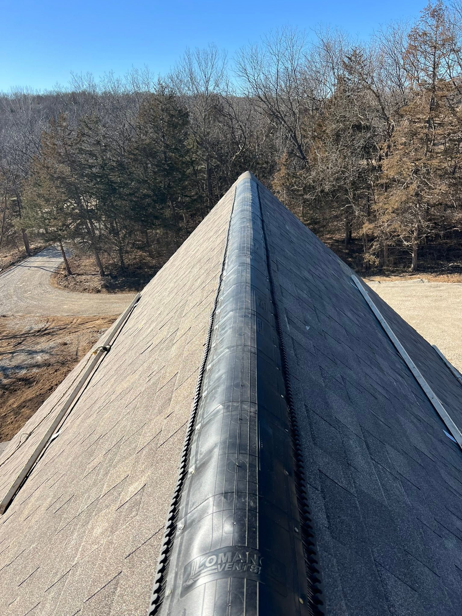 A narrow metal roof ridge extending toward leafless trees under a clear blue sky.