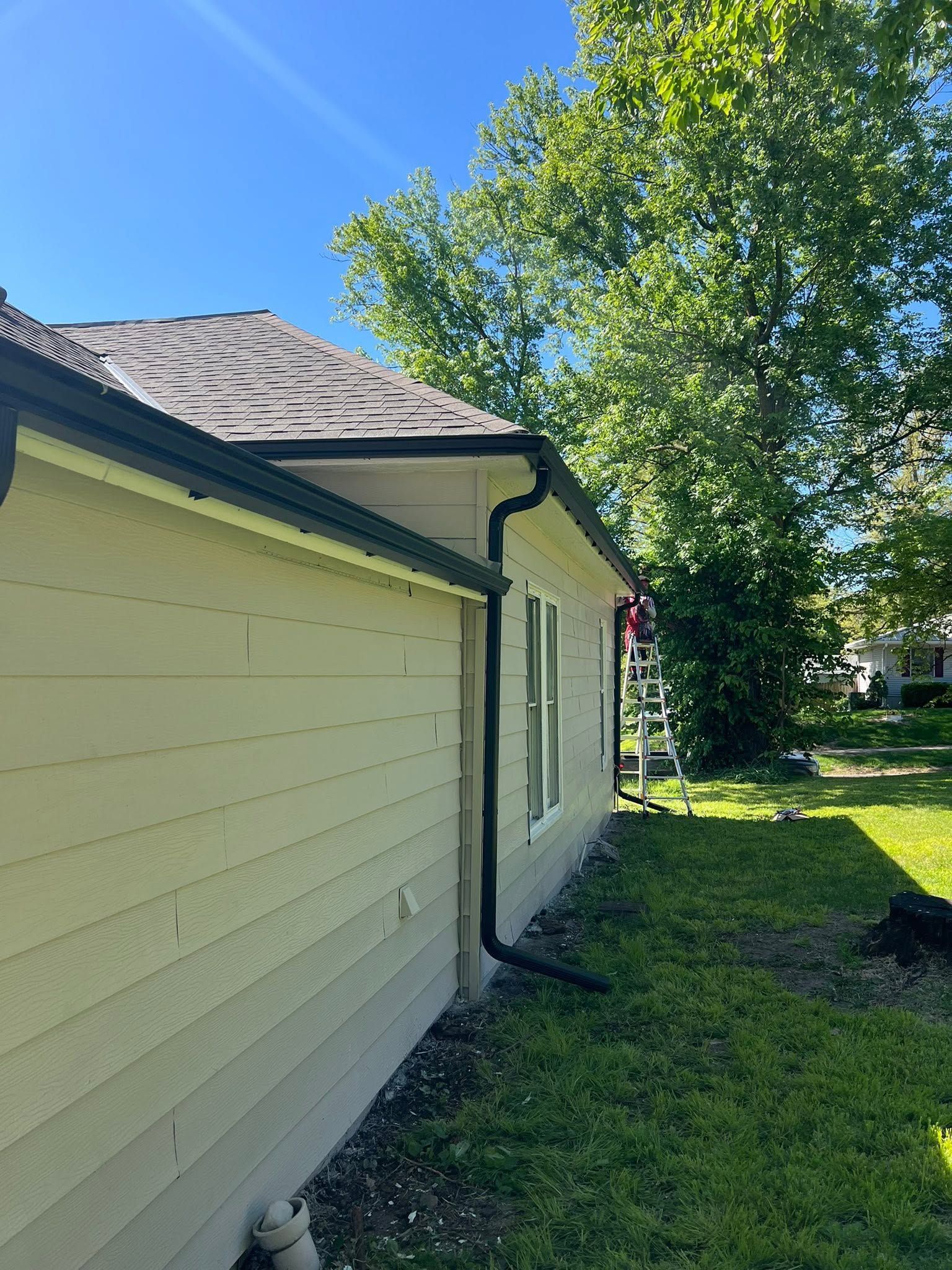 Side of a cream house with a gray roof and green trim, beside a grassy yard and tall tree under blue sky