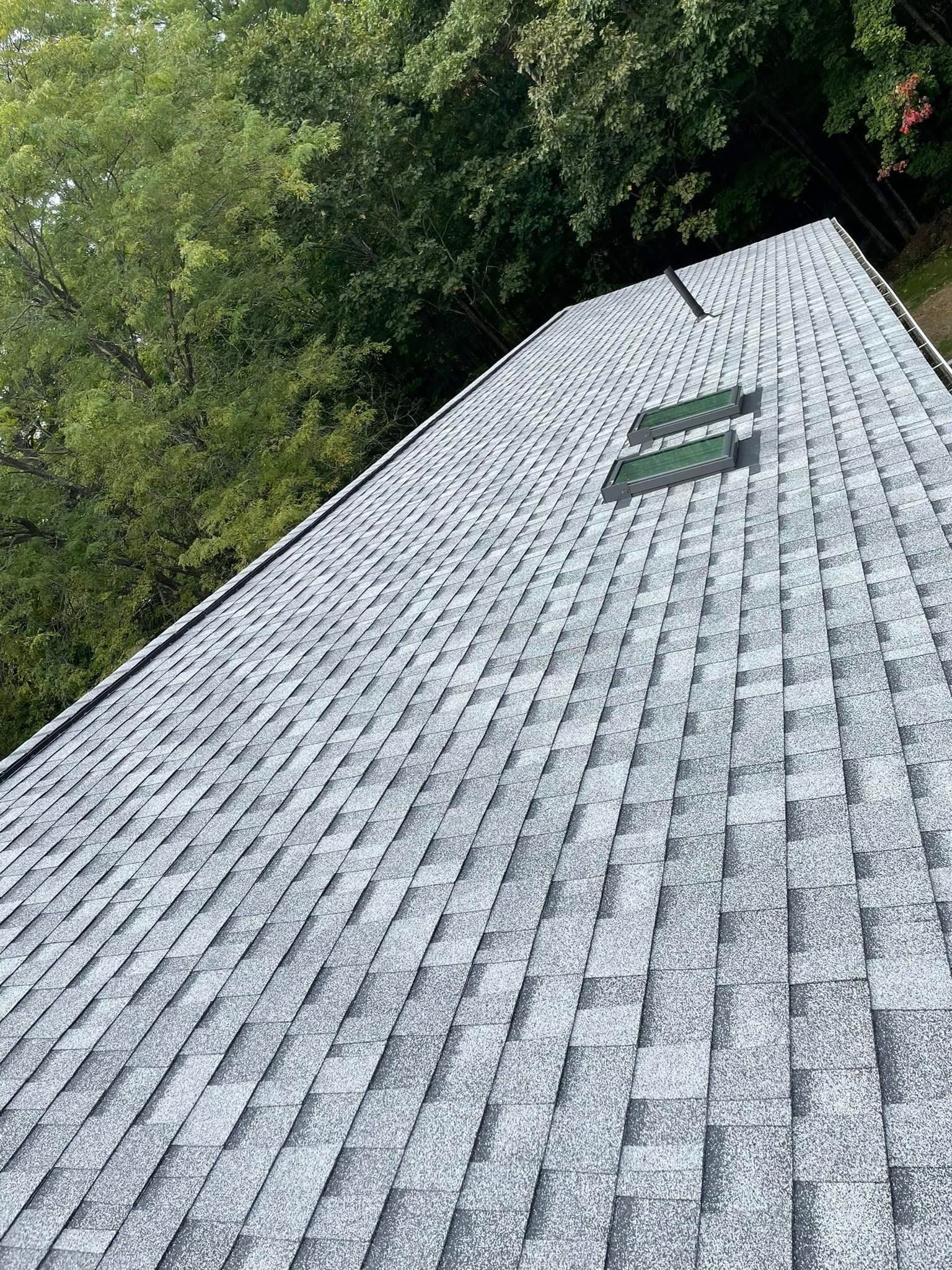Gray shingled roof with two skylights beside dense green trees