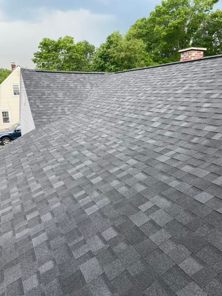 Gray shingle roof with a steep slope, viewed close up, with trees and part of a house in the background