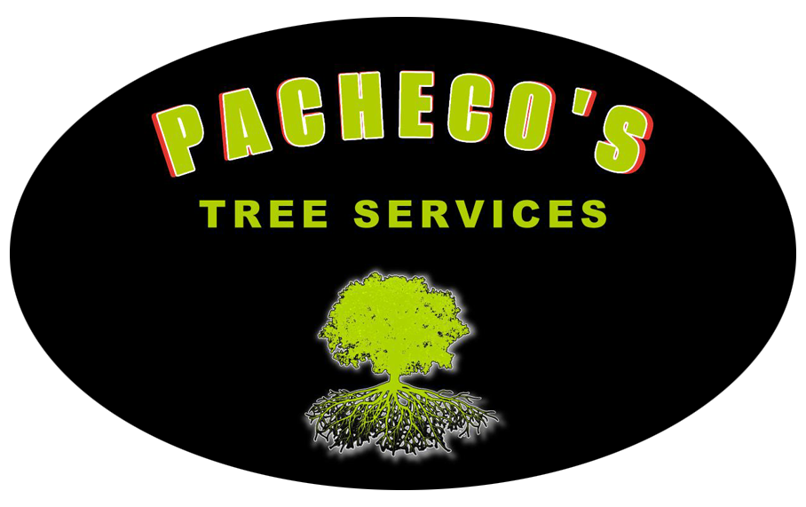 Logo for Pacheco's Tree Services with a green tree graphic on a black oval. Text is green and red.