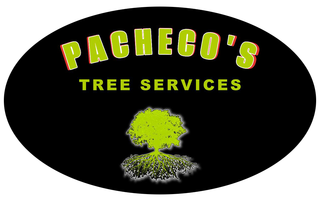 Logo for Pacheco's Tree Services with a green tree graphic on a black oval. Text is green and red.