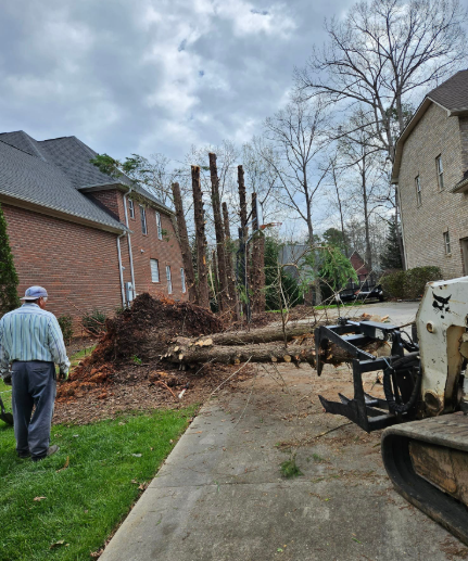 Man watches as Bobcat moves tree debris near a brick house under a cloudy sky.