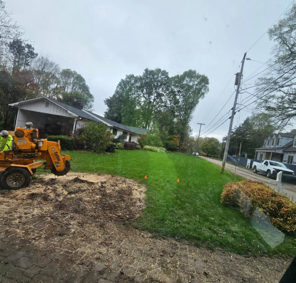 Mobile home next to a yard with tree stumps and fallen logs; cloudy sky.