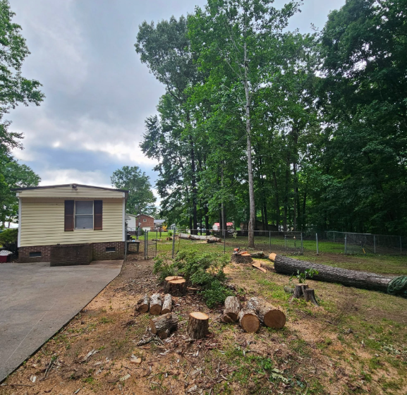 A mobile home next to a yard with multiple tree stumps and a fallen log, under a cloudy sky.