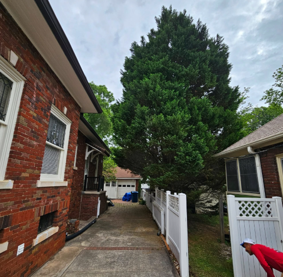 Brick house with white trim, driveway, tall green tree, white fence, and a person in red shirt.