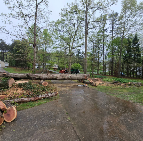 Fallen tree blocks a driveway; cut logs and debris scattered. Red truck and green equipment in the background. Overcast day.
