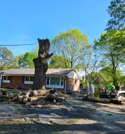 A tree stump stands before a house with logs on the ground, tree removal in progress.