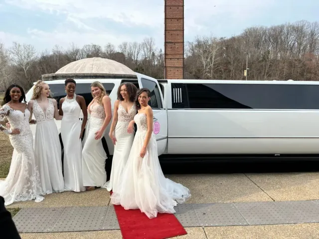Group in white formal dresses posing beside a white limousine on a red carpet outdoors.