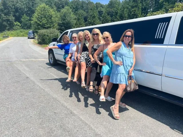 Group posing on a limousine by a roadside in bright daylight, with a forested background.