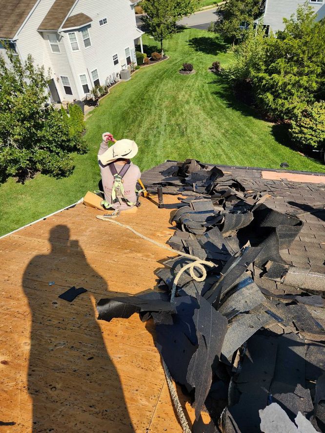 A worker wearing a safety harness removes old shingles from a residential roof, exposing the wooden deck below.