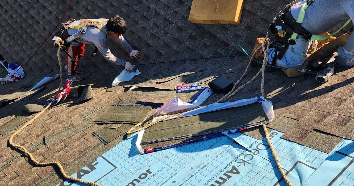 Two workers wearing safety harnesses perform roofing work on a sloped surface with blue underlayment and loose shingles.